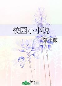 蓝狐视频